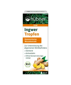 Hübner Ingwer Tropfen BIO (20 ml)